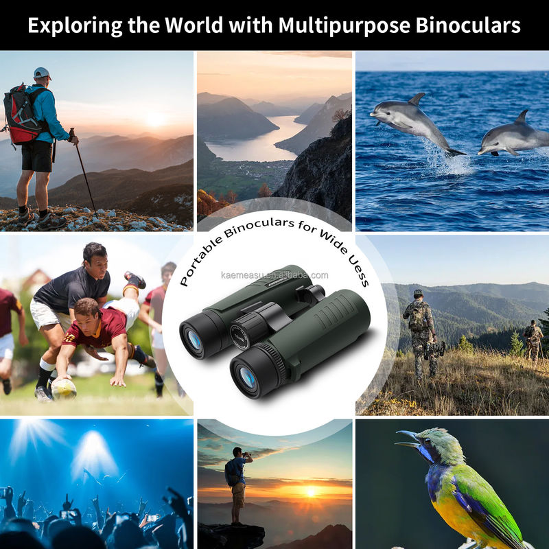 D 10X grossissement monoculaire sport en plein air HD télescope binoculaire professionnel