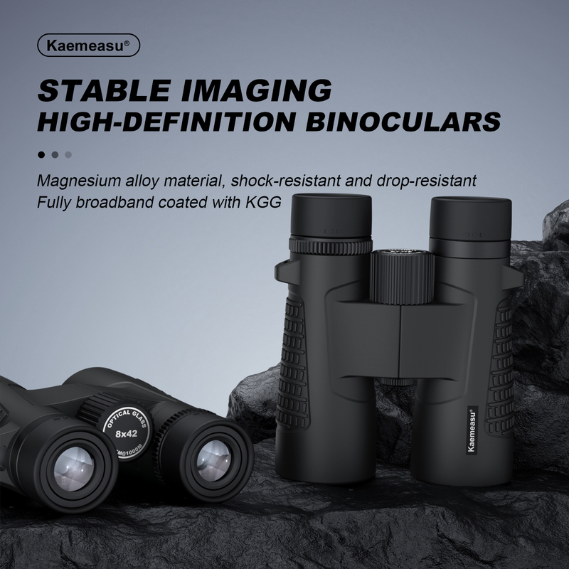 Kaemeasu C Modèle noir 10x42 HD Binoculaire imperméable à l'eau pour adultes, Binoculaire pour observation des oiseaux et randonnée, Optique avec prisme BAK4, Corps en alliage de magnésium antichoc, Vision claire et claire